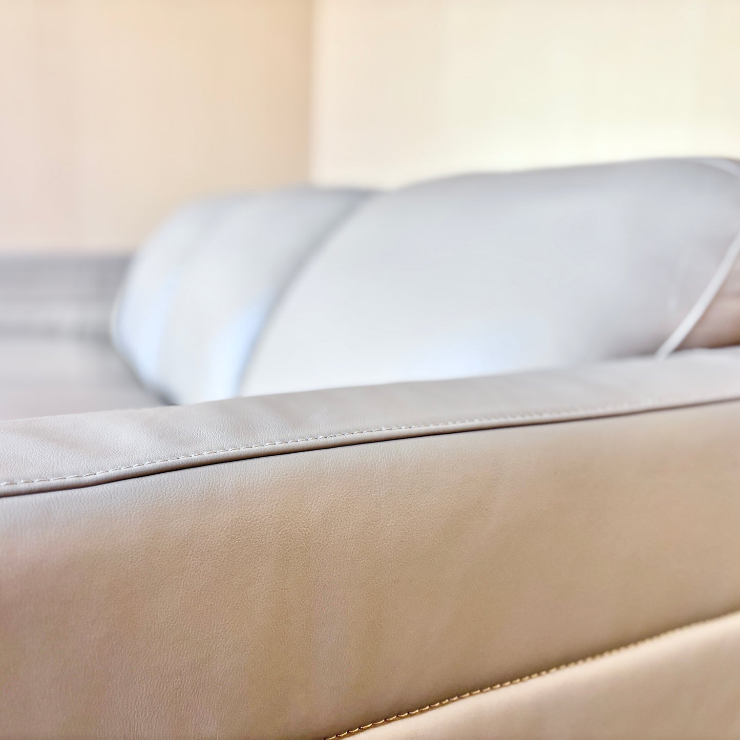 Real Top Grain Leather Sofa