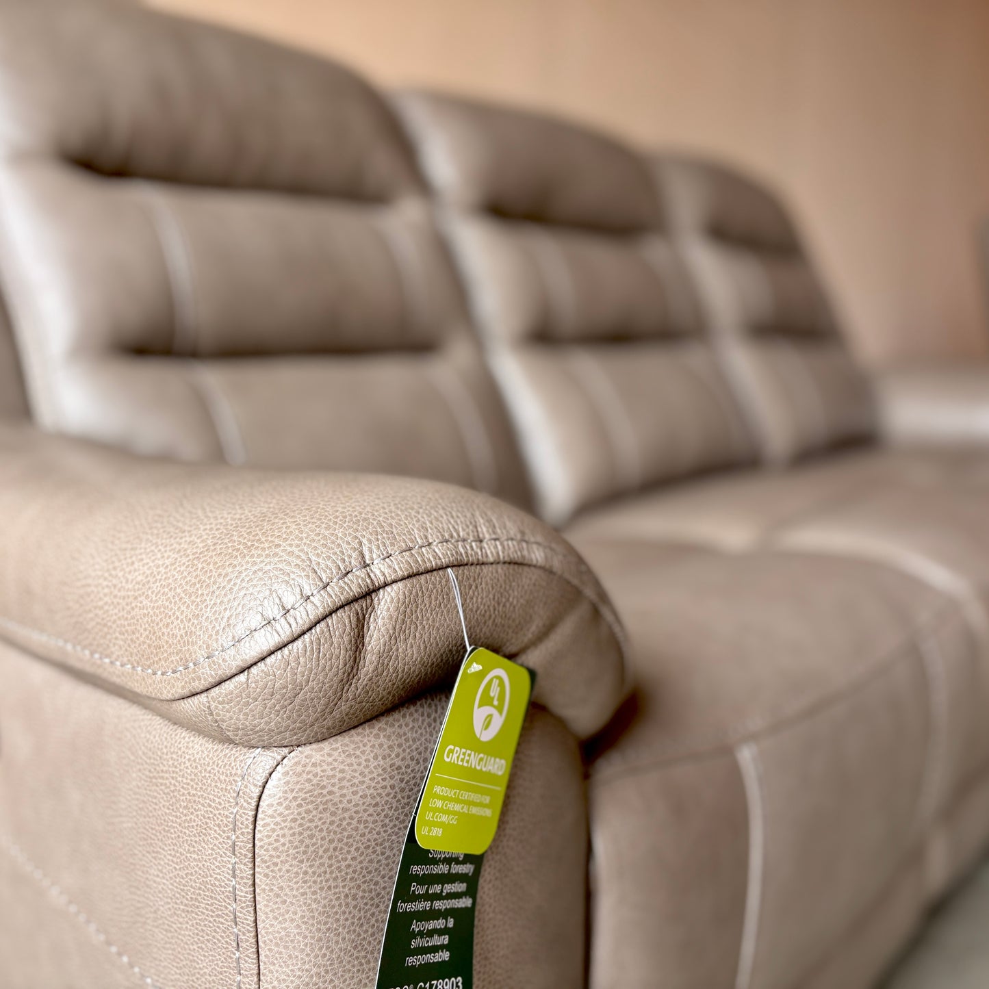 Leather Power Recliner Couch and Chair with Power Headrest