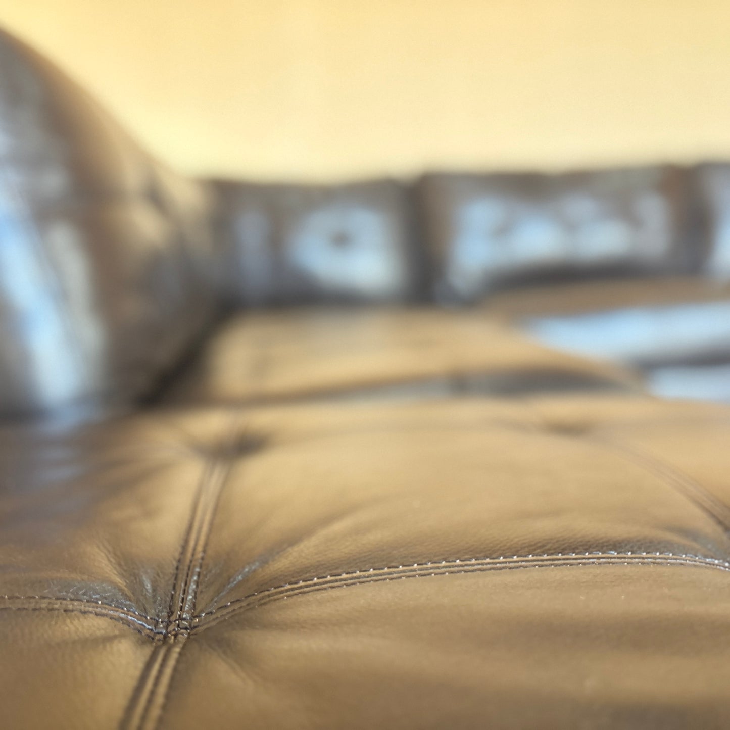 Leather Modular Sectional Couch