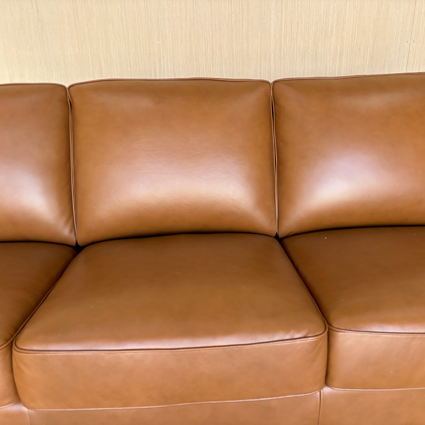 Camel Leather Couch Set